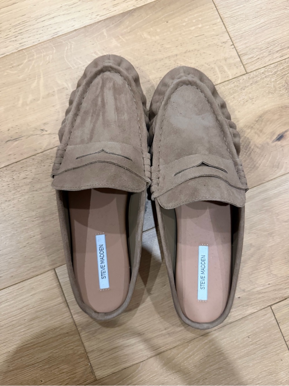 Steve Madden Suede Penny Loafers in Taupe Brown